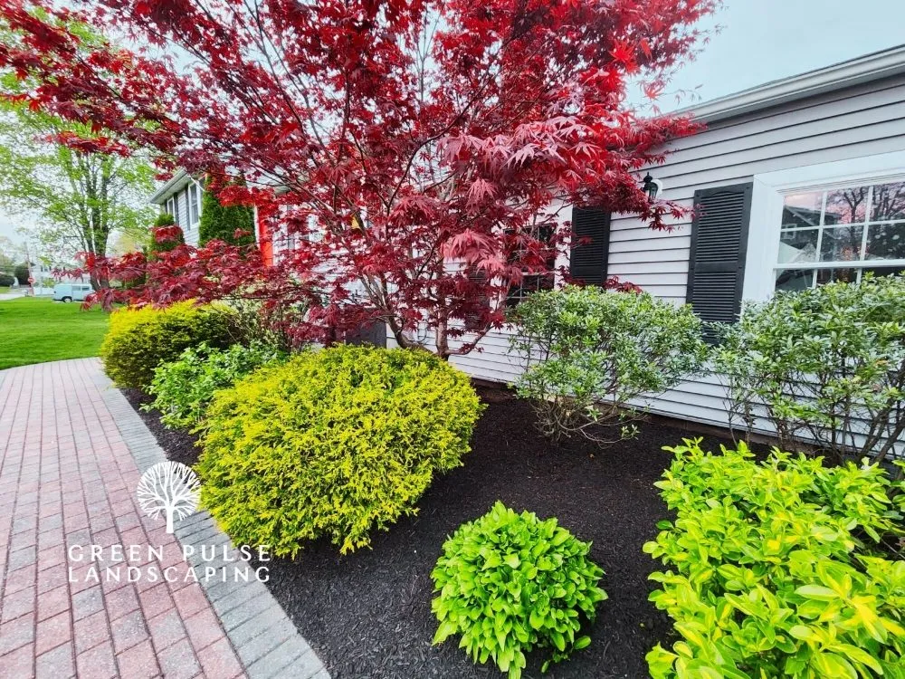 Professional yard cleanup service for year-round maintenance in Whitman, MA by Green Pulse Landscaping