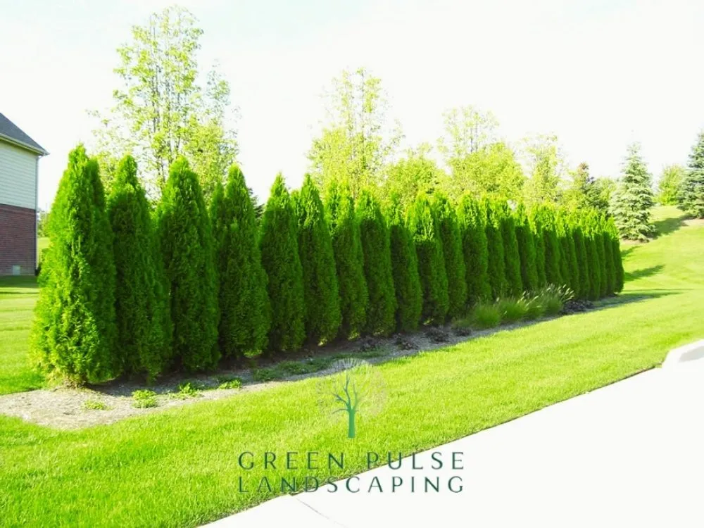 Professional garden landscaping in Whitman, MA by Green Pulse Landscaping