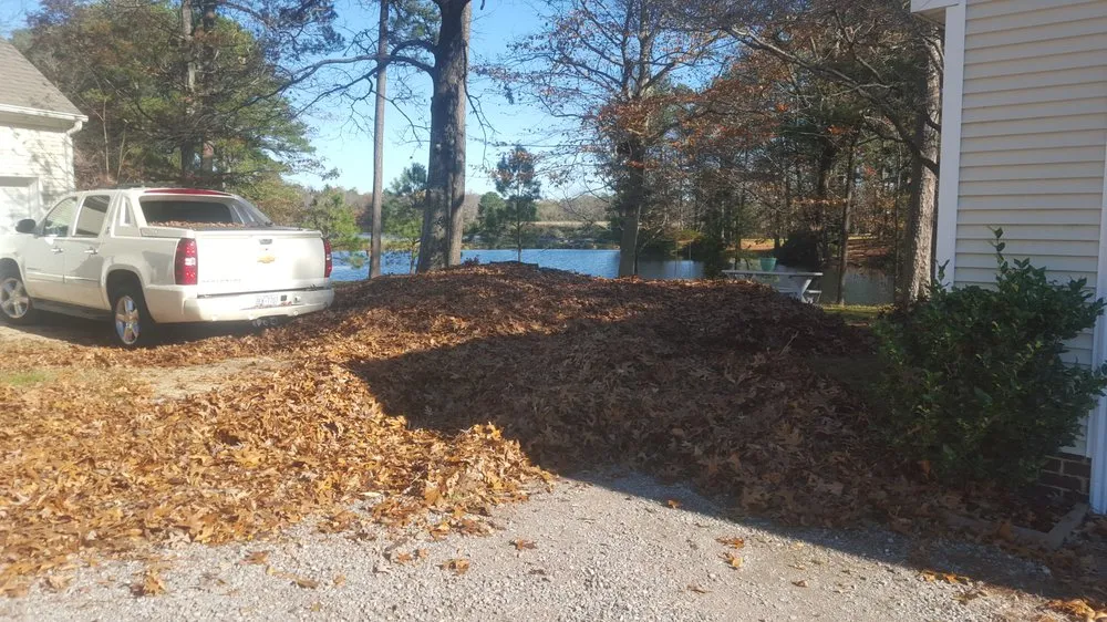 Trusted landscaping services in Hampton, VA - Green Quest Lawn & Landscaping