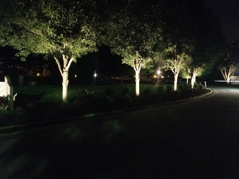 Expert yard maintenance in Hampton, VA by Green Quest Lawn & Landscaping