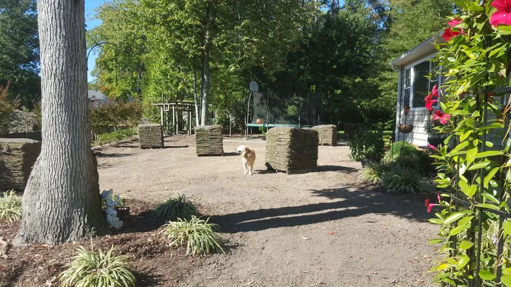 Local lawn care service in Hampton, VA - Green Quest Lawn & Landscaping