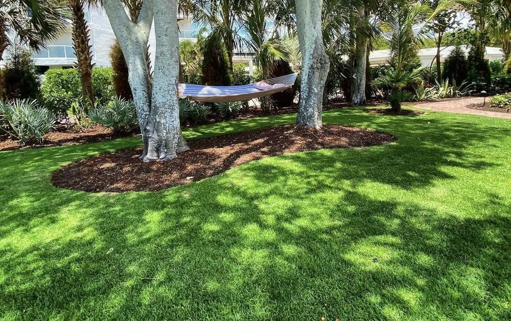Top-rated landscape design for beautiful yards in San Diego, CA by Green Rabbit Professional Lawn Care