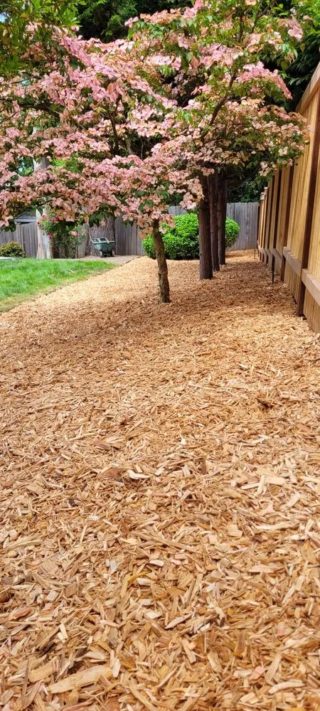 Affordable landscaping services experts serving Marysville, WA - Green Ranch Landscaping Service