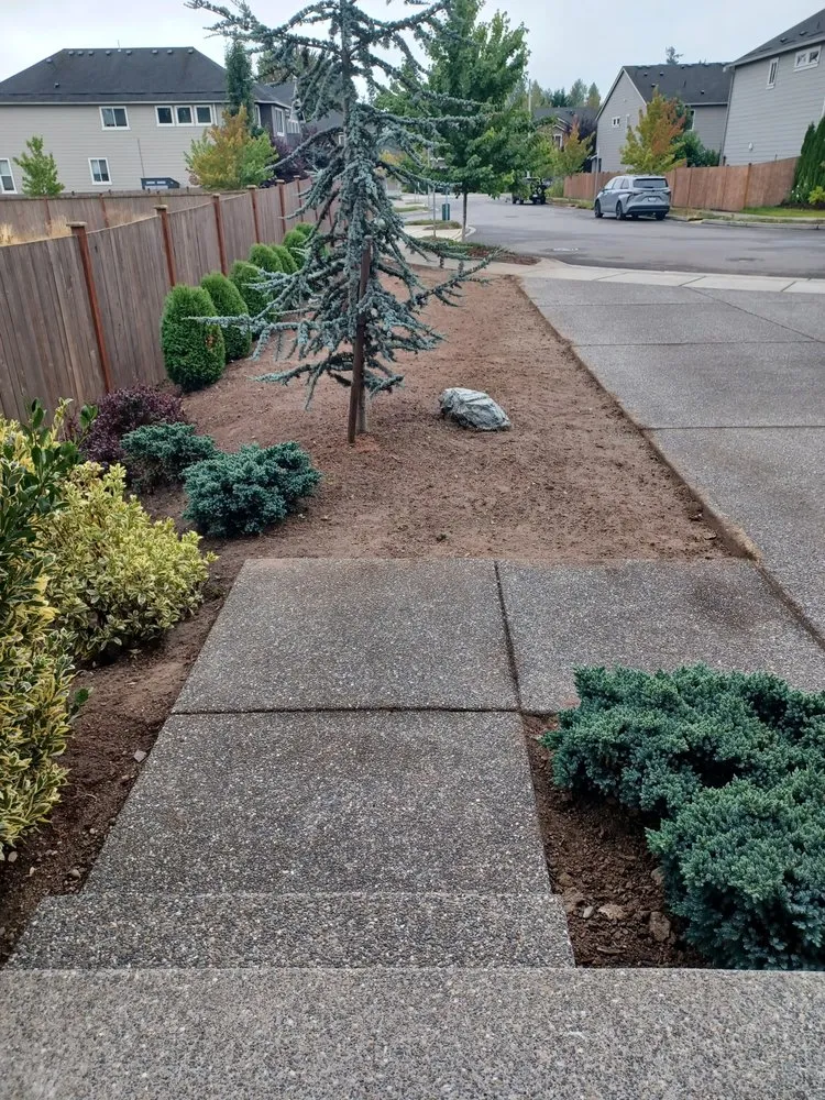 Trusted yard cleanup service near you across Marysville, WA - Green Ranch Landscaping Service