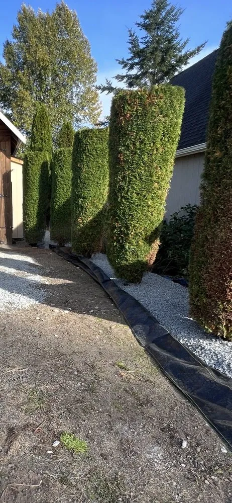 Expert yard maintenance experts serving Marysville, WA - Green Ranch Landscaping Service