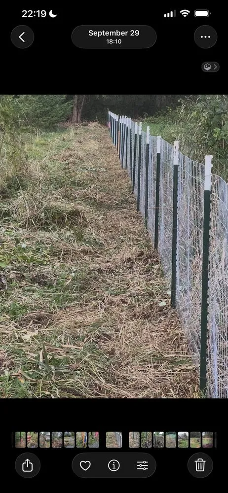 Expert yard cleanup service near you across Marysville, WA - Green Ranch Landscaping Service