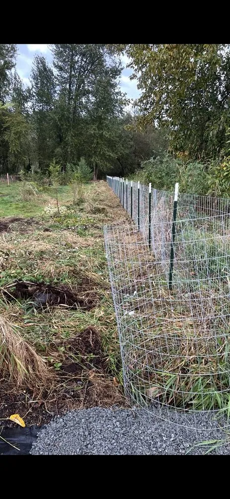 Top-rated yard cleanup service in Marysville, WA by Green Ranch Landscaping Service