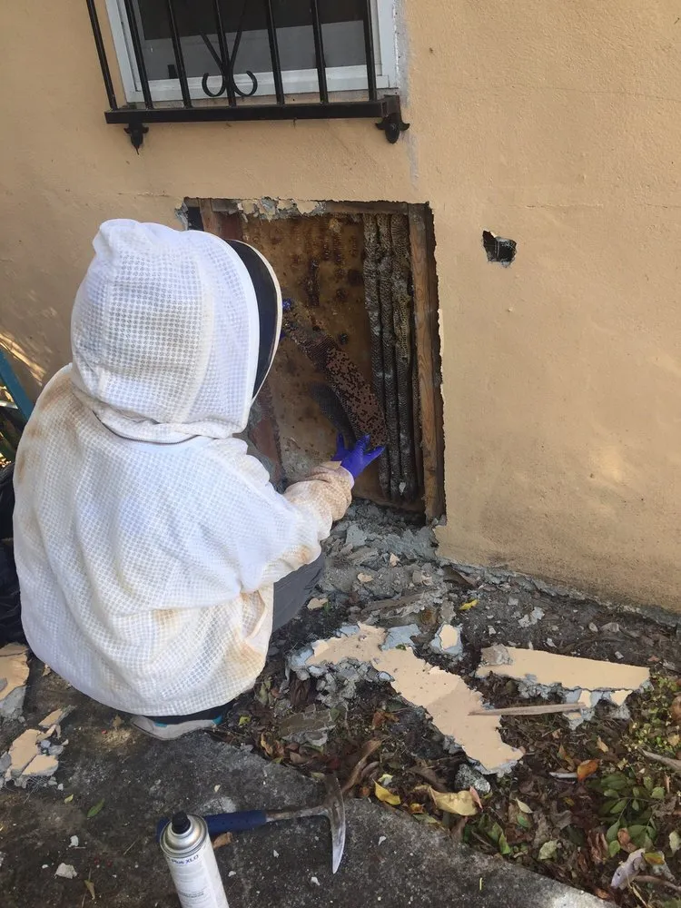 Local lawn care service for outdoor upgrades across Hialeah, FL - Green Reaction