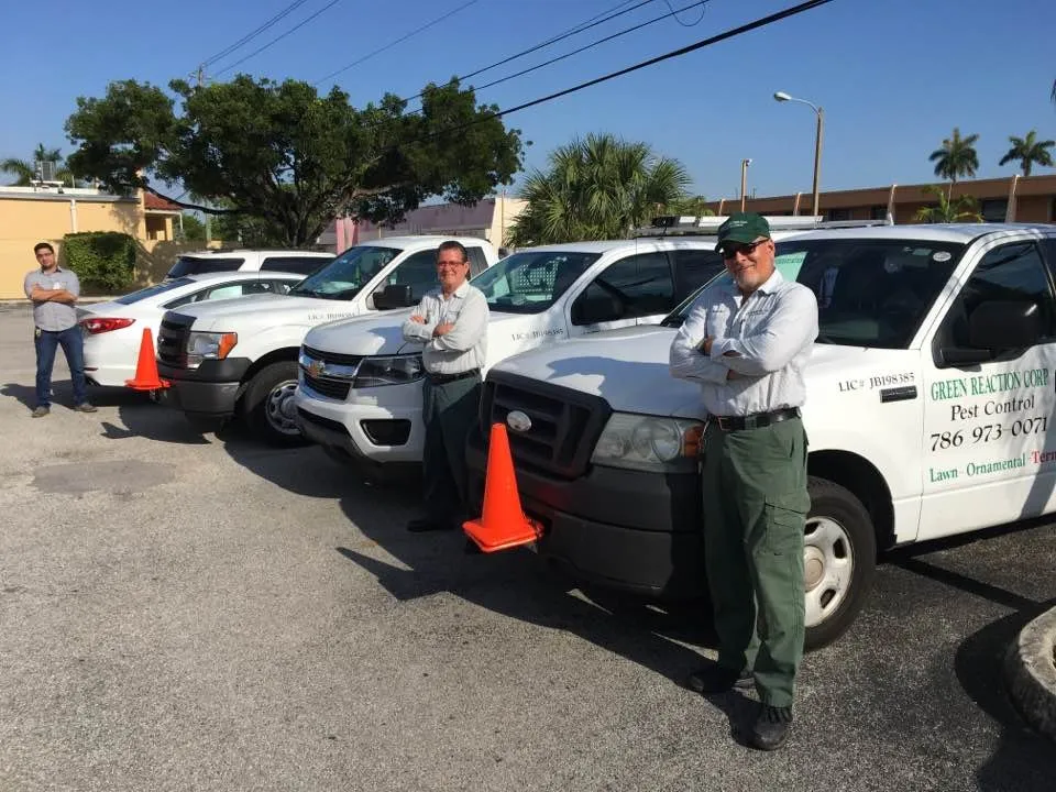 Local residential landscaping with custom design across Hialeah, FL - Green Reaction