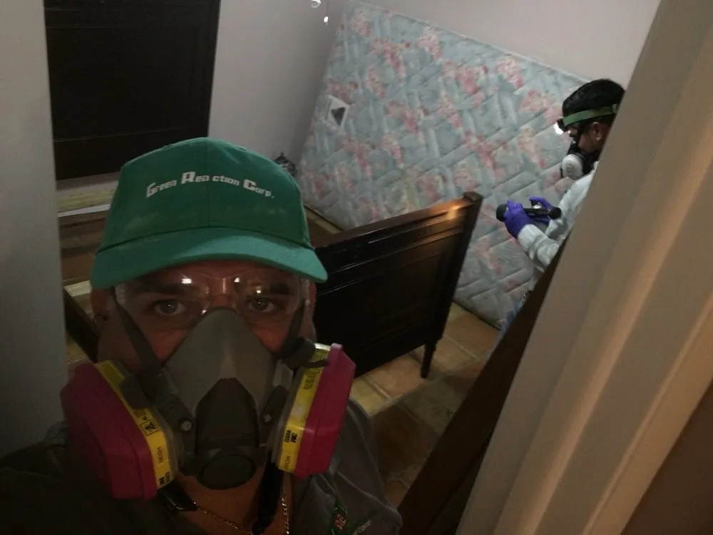 Local outdoor landscaping near you across Hialeah, FL - Green Reaction