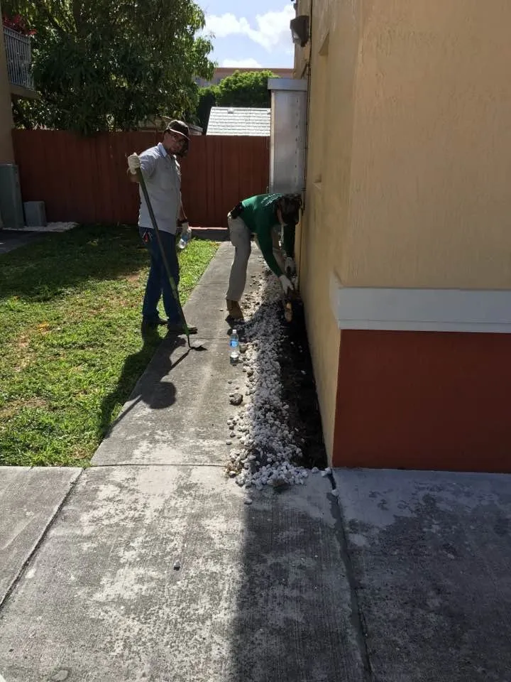 Reliable landscaping services in Hialeah, FL by Green Reaction