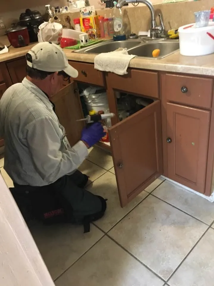 Professional lawn mowing service near you in Hialeah, FL by Green Reaction