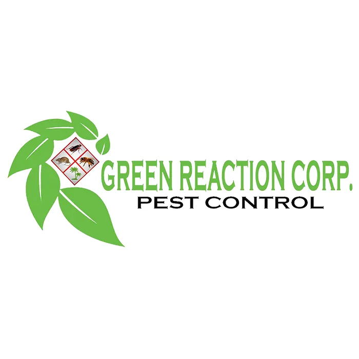 Trusted yard maintenance experts serving Hialeah, FL - Green Reaction