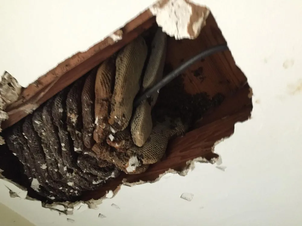 Top-rated lawn care service in Hialeah, FL - Green Reaction