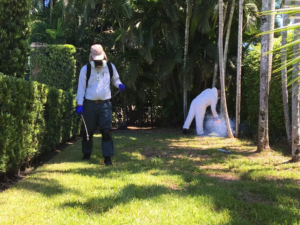 Professional landscape installation in Hialeah, FL - Green Reaction
