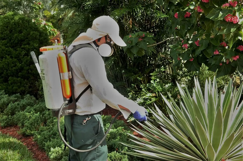 Trusted landscape installation in Hialeah, FL - Green Reaction