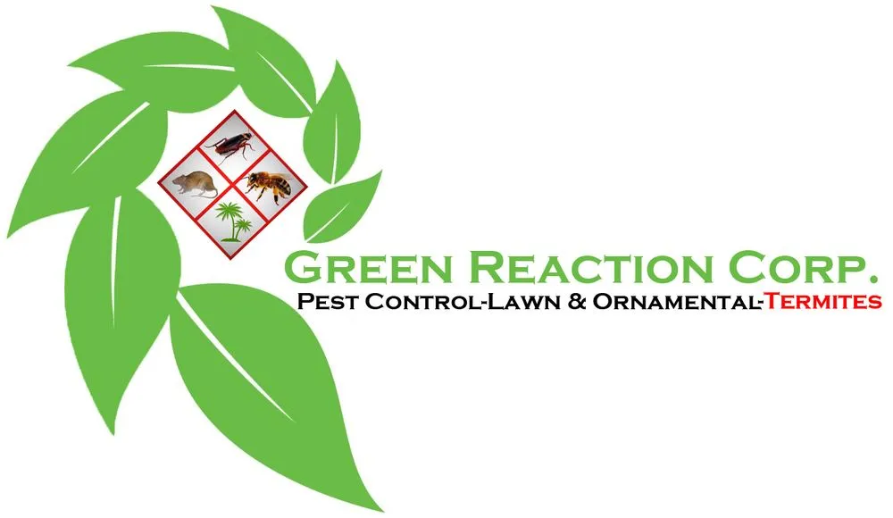 Custom yard cleanup service experts serving Hialeah, FL - Green Reaction