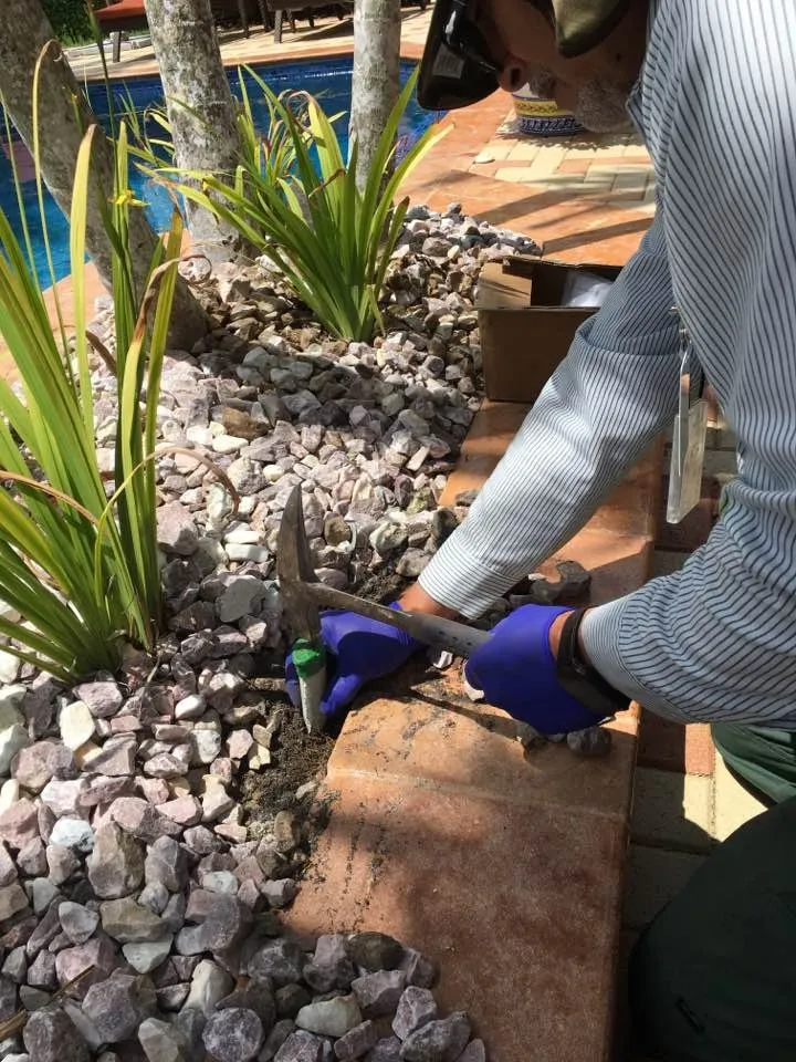 Affordable lawn mowing service in Hialeah, FL by Green Reaction