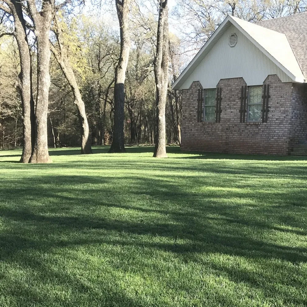 Affordable yard maintenance experts serving Washington, MO - Green Reaper Lawn Care