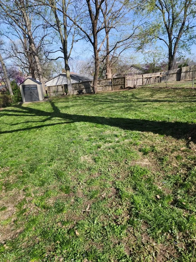 Custom yard maintenance in Washington, MO by Green Reaper Lawn Care