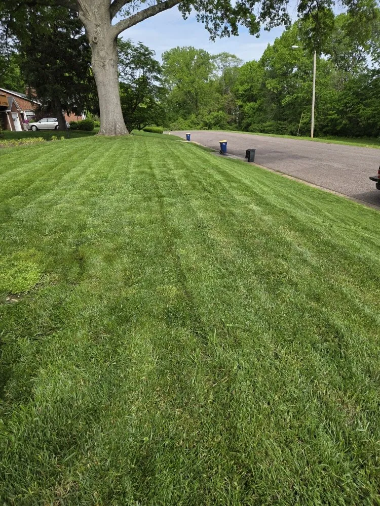 Reliable yard cleanup service in Washington, MO by Green Reaper Lawn Care
