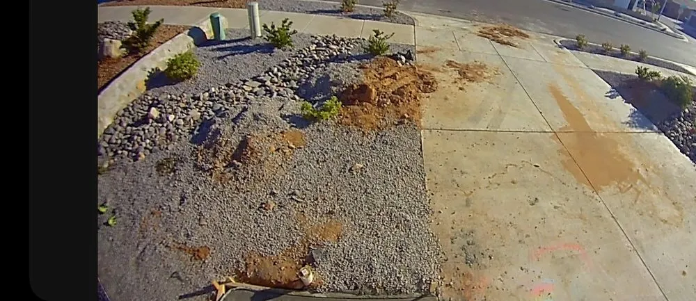 Custom residential landscaping experts serving El Paso, TX - Green Renovations Landscaping