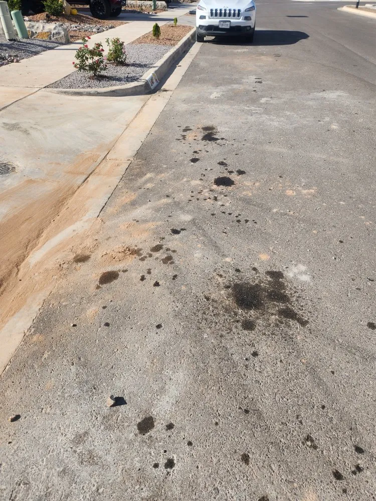 Reliable yard cleanup service in El Paso, TX - Green Renovations Landscaping