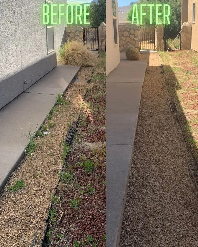 Professional landscape design in El Paso, TX by Green Renovations Landscaping