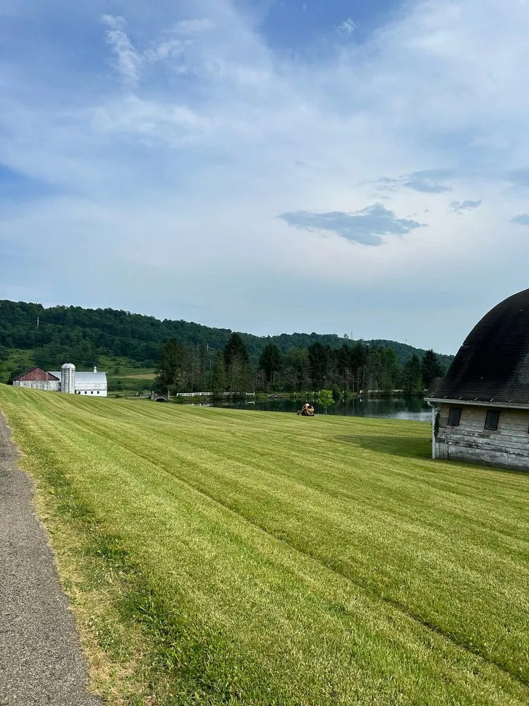 Custom lawn care service for year-round maintenance across Fairmount City, PA - Green Rescue