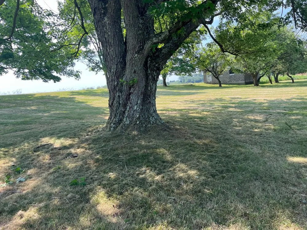 Local lawn mowing service in Fairmount City, PA - Green Rescue