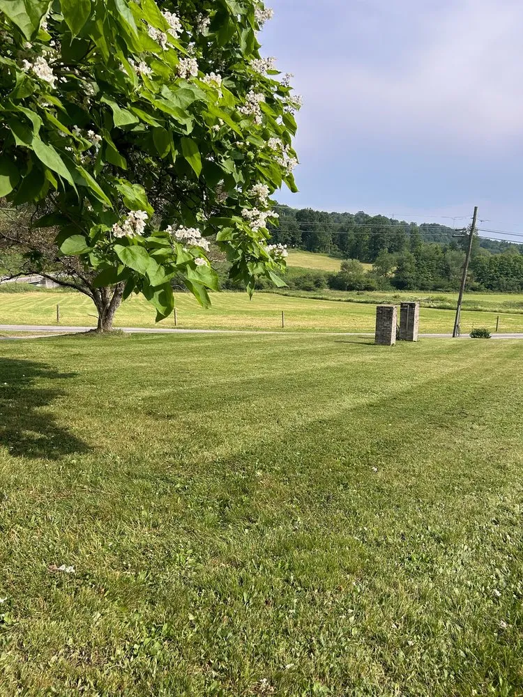 Trusted lawn care service for beautiful yards in Fairmount City, PA by Green Rescue