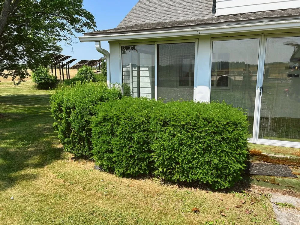 Top-rated outdoor landscaping for year-round maintenance in Fairmount City, PA by Green Rescue