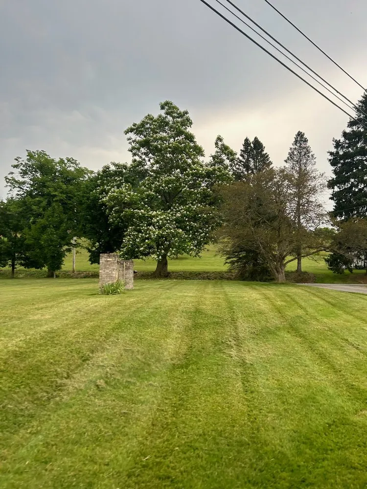 Affordable landscape installation in Fairmount City, PA - Green Rescue