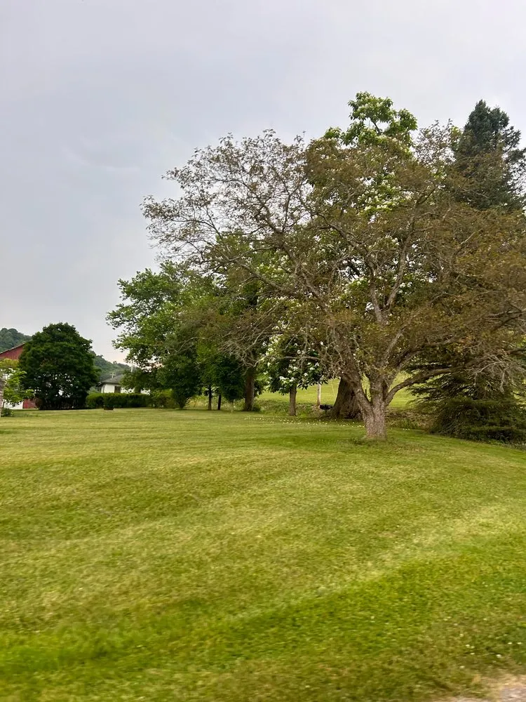 Local lawn mowing service in Fairmount City, PA - Green Rescue
