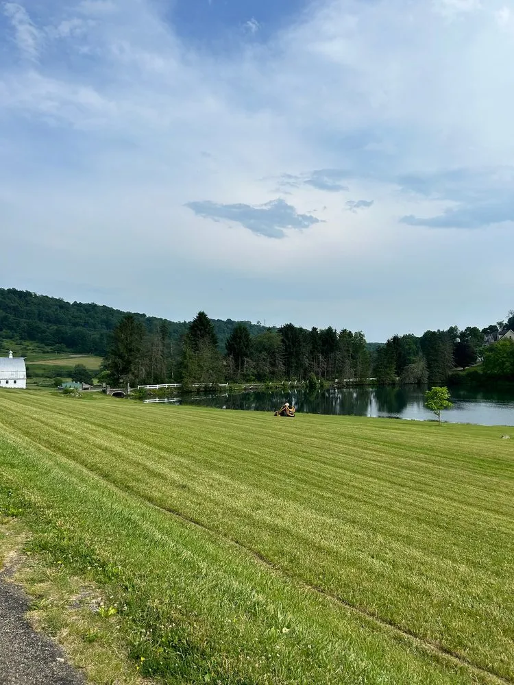 Top-rated lawn mowing service in Fairmount City, PA by Green Rescue