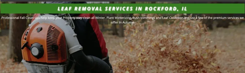 Professional landscaping services for outdoor upgrades across Rockford, IL - Green Rescue Lawncare