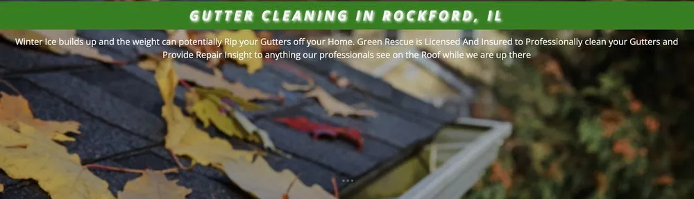 Custom yard cleanup service for year-round maintenance in Rockford, IL by Green Rescue Lawncare