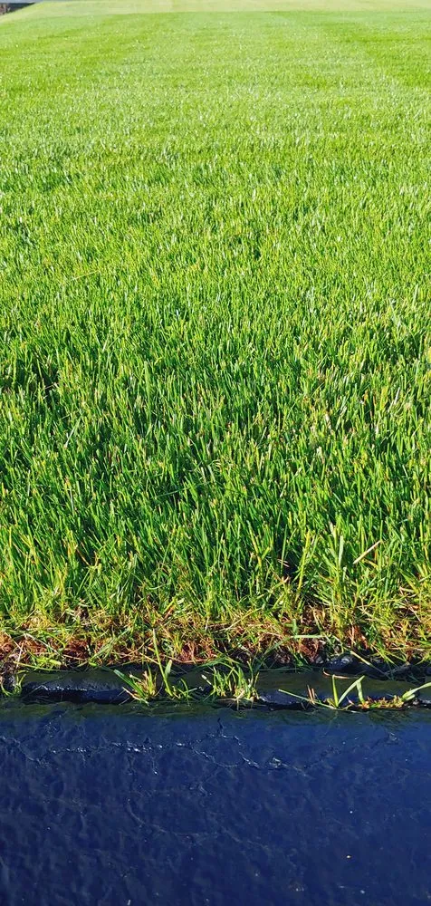 Affordable landscape installation experts serving Rockford, IL - Green Rescue Lawncare