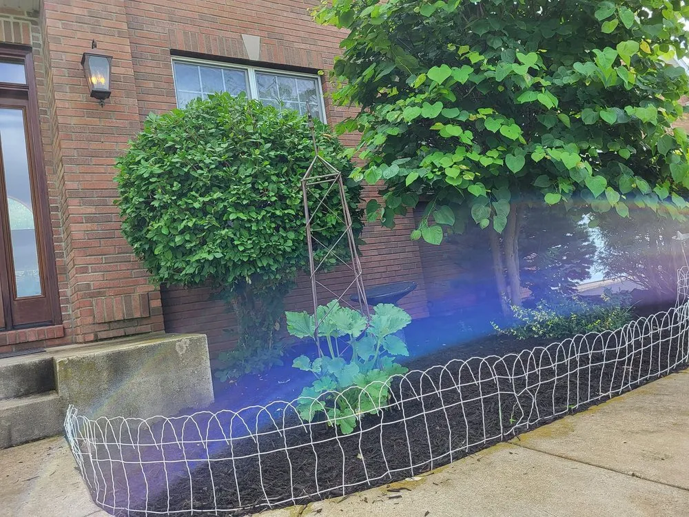 Affordable lawn mowing service for homes in Rockford, IL by Green Rescue Lawncare