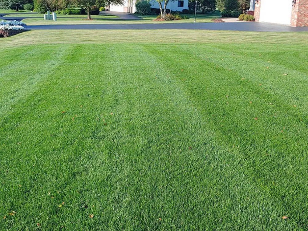 Trusted residential landscaping in Rockford, IL - Green Rescue Lawncare