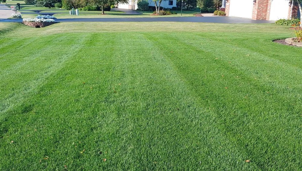 Custom landscaping services near you in Rockford, IL by Green Rescue Lawncare