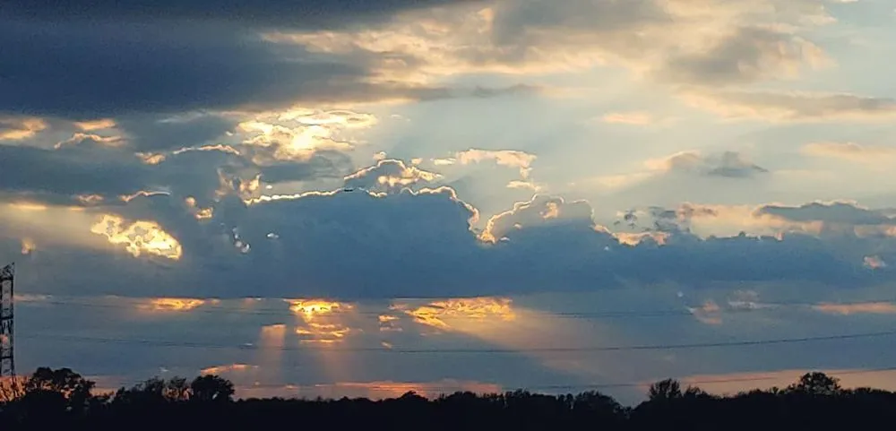 Professional lawn mowing service for outdoor upgrades in Rockford, IL by Green Rescue Lawncare