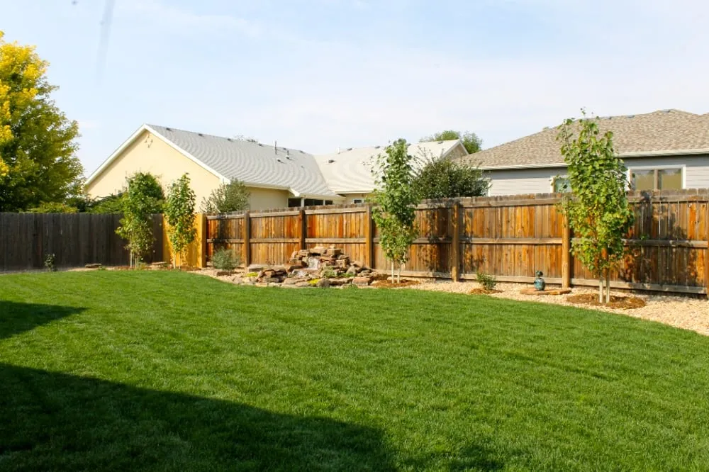 Trusted yard maintenance in Windsor, CO by Green Revolution Landscaping