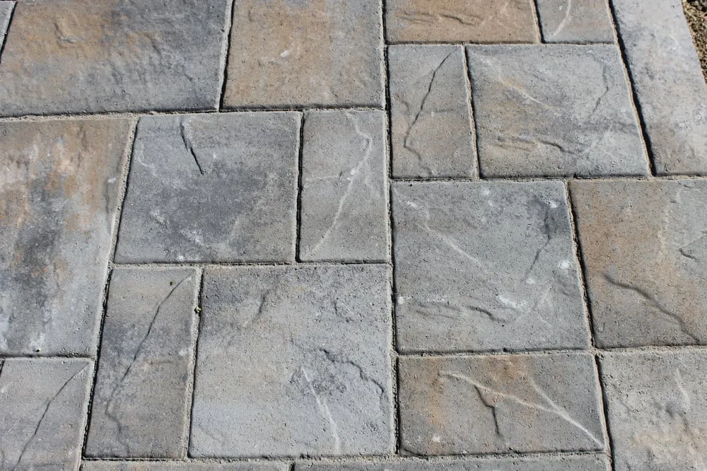 Top-rated yard cleanup service in Windsor, CO - Green Revolution Landscaping