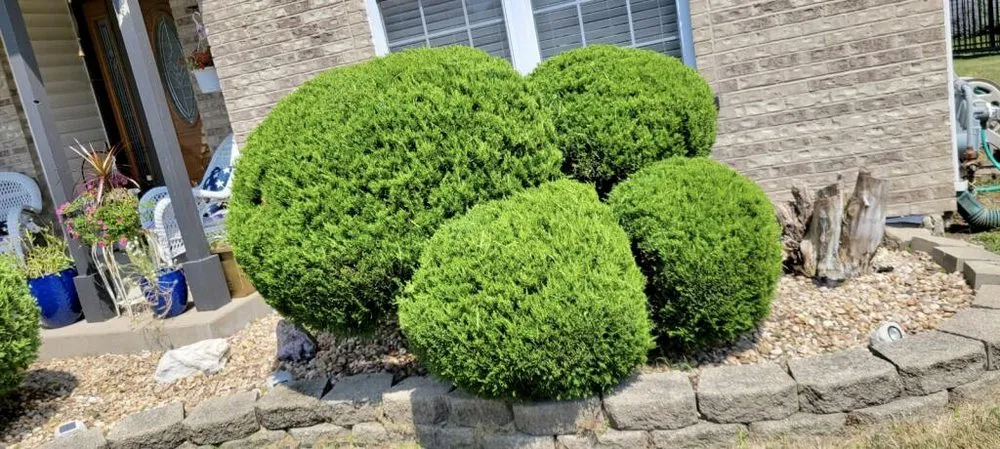 Custom lawn mowing service in Plainfield, IL - Green Reyes landscaping