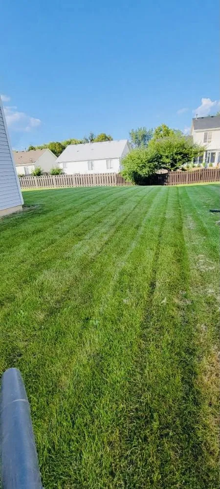 Top-rated landscaping services experts serving Plainfield, IL - Green Reyes landscaping