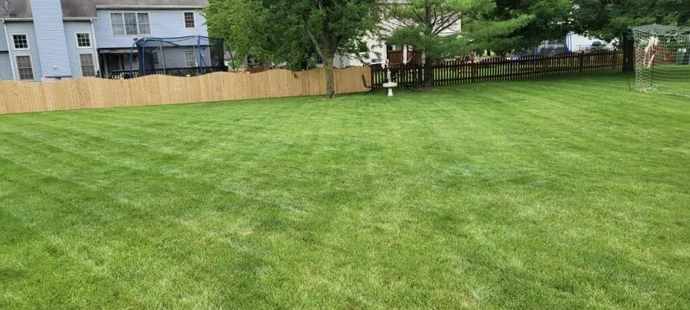 Trusted yard maintenance in Plainfield, IL - Green Reyes landscaping