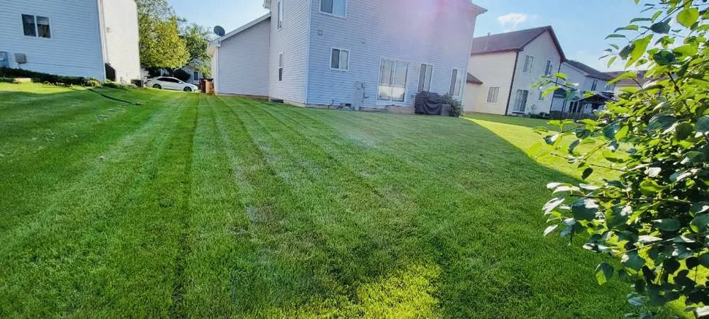 Affordable landscape design for homes across Plainfield, IL - Green Reyes landscaping