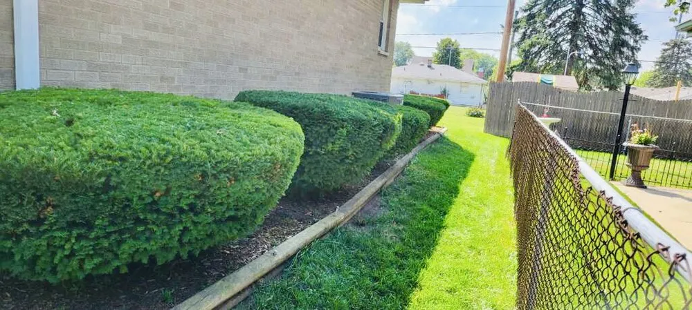 Reliable landscape installation in Plainfield, IL - Green Reyes landscaping