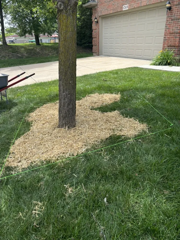 Reliable residential landscaping for outdoor upgrades across St. Clair Shores, MI - Green Rhino Lawn Care
